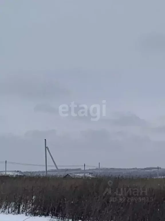 Участок в Белгородская область, Белгородский район, Головинское с/пос, ... - Фото 1