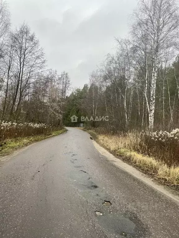 Участок в Владимирская область, Петушинский район, Городищи ... - Фото 1