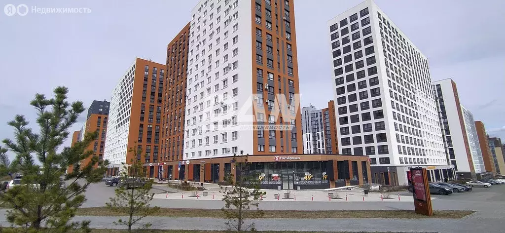 Помещение свободного назначения (155.6 м) - Фото 1