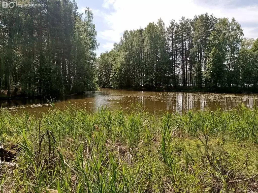 Купить Участок Юрково Сокольский Район Нижегородская Область