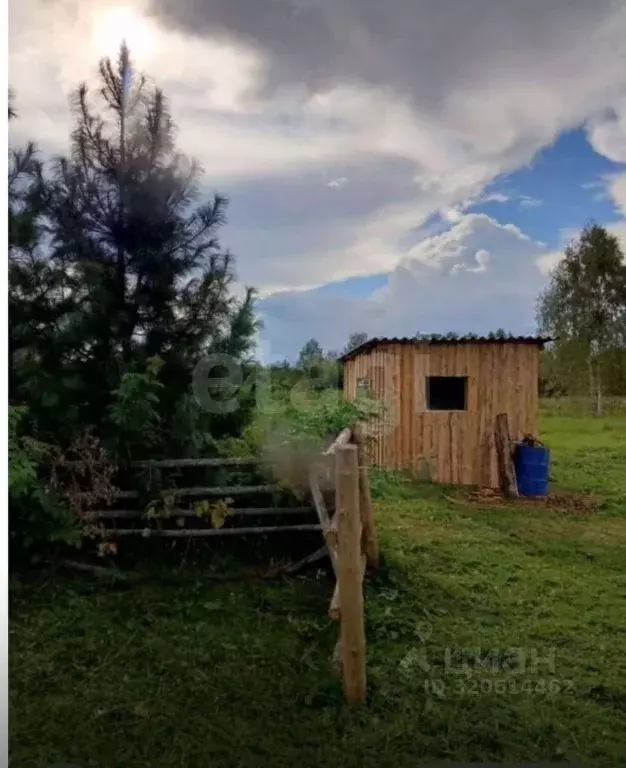 Участок в Томская область, Томский район, д. Чернышевка Главная ул. ... - Фото 1
