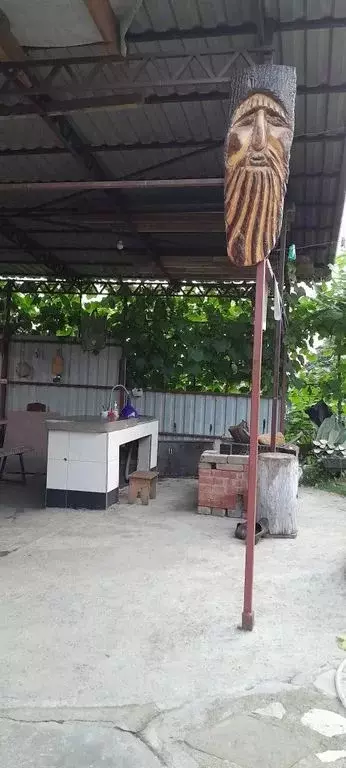 Дом в Краснодарский край, Сочи Урожайная ул., 46Б (50 м) - Фото 1