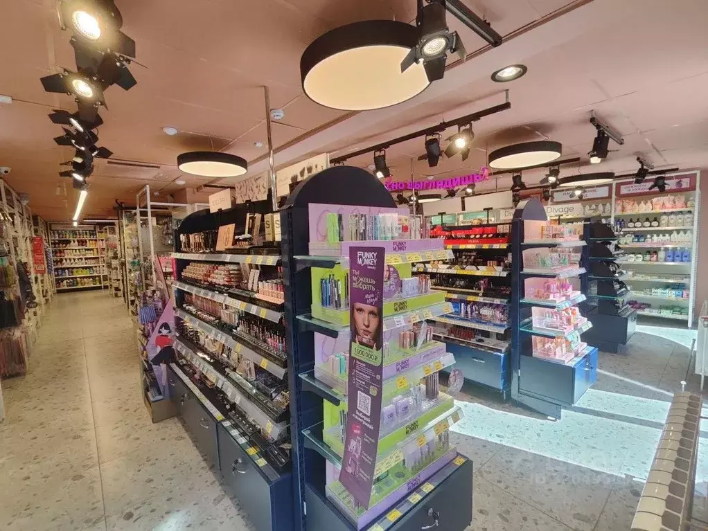 Помещение свободного назначения в Московская область, Электросталь ... - Фото 2