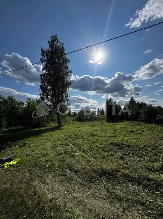 Участок в Тюменская область, Тюменский район, Нива СНТ ул. Яблоневая, ... - Фото 0