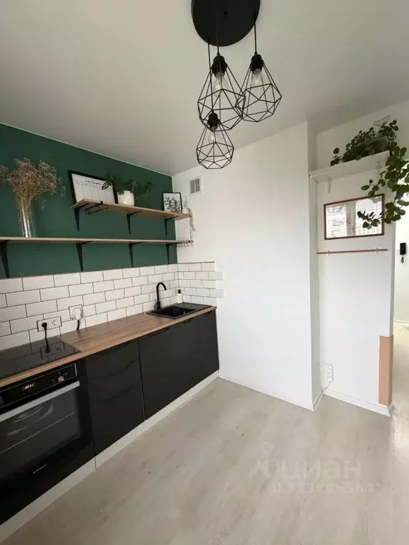 1-к кв. Алтайский край, Барнаул ул. Веры Кащеевой, 8 (32.8 м) - Фото 1