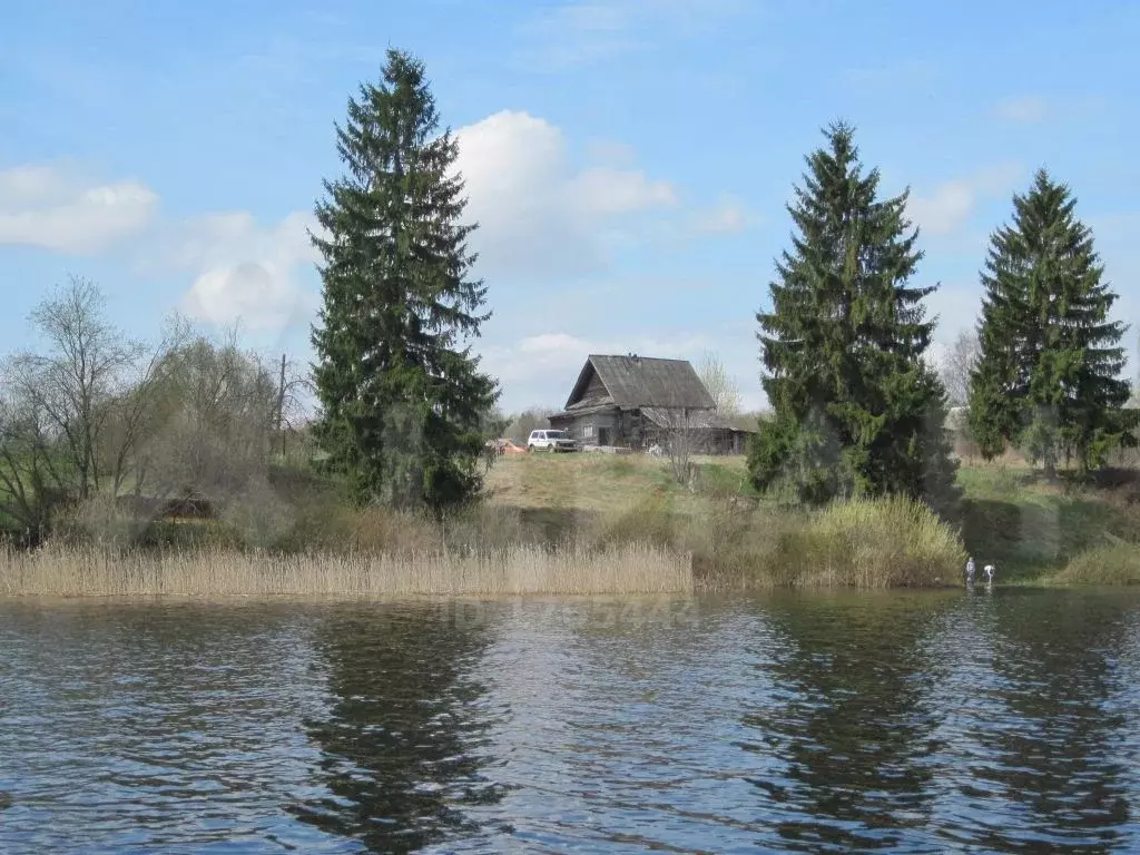 Дом в Тверская область, Селижаровский район, д. Заручевье Центральная .,  Купить дом Заручевье, Селижаровский район, ID объекта - 50003701015