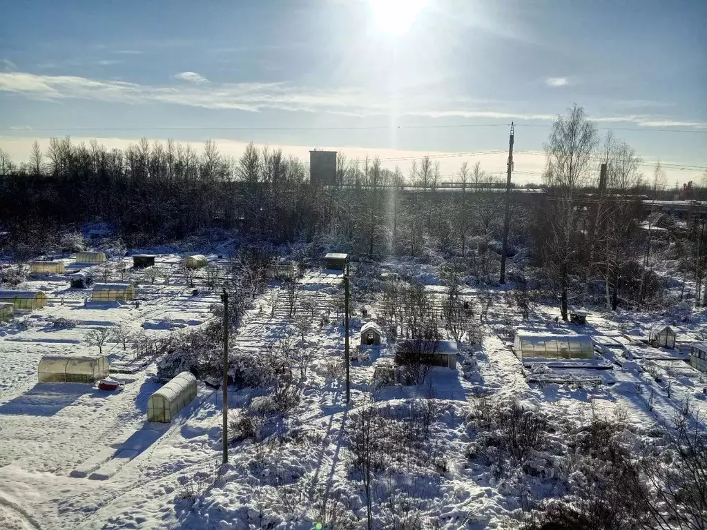 2-к кв. Новгородская область, Старая Русса ул. Строителей, 7 (52.0 м) - Фото 1