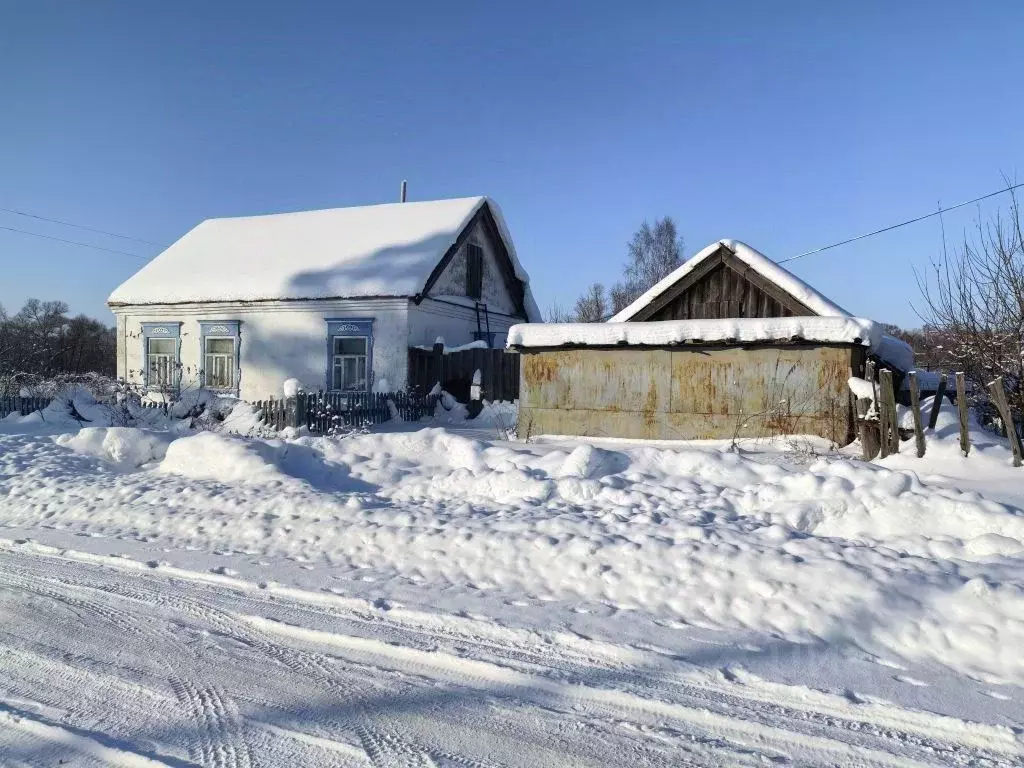 Дом в Пензенская область, Лунинский район, с. Ломовка Заречная ул., ... - Фото 2
