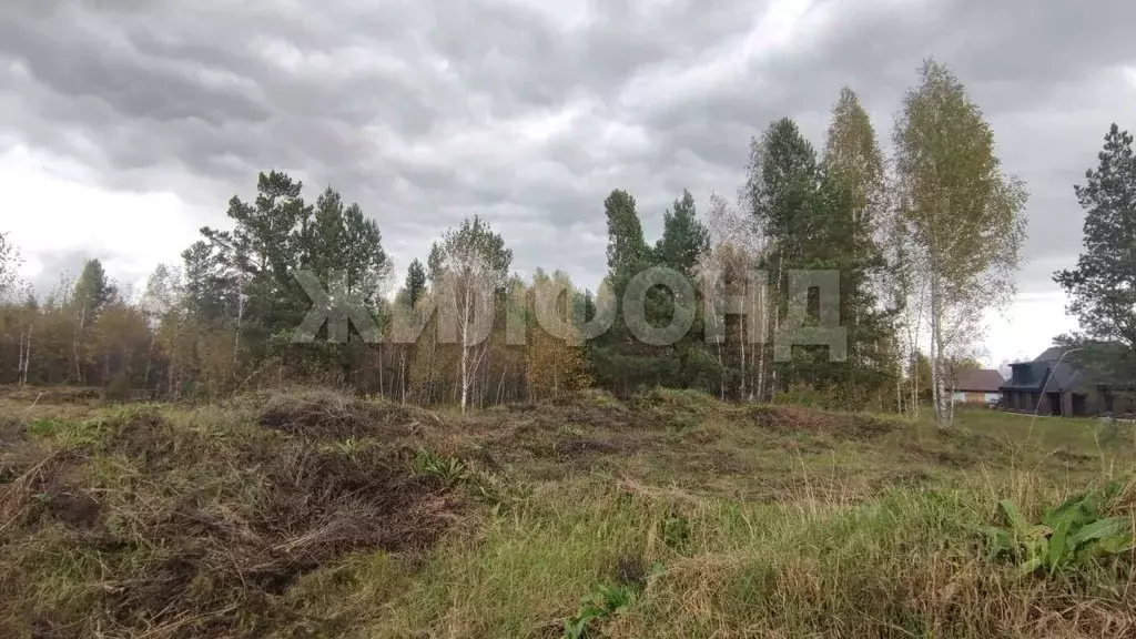 Участок в Новосибирская область, Новосибирский район, Барышевский ... - Фото 2