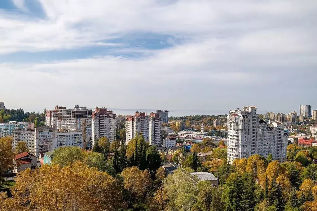 2-к кв. Краснодарский край, Сочи Туапсинская ул., 19 (45.0 м) - Фото 1