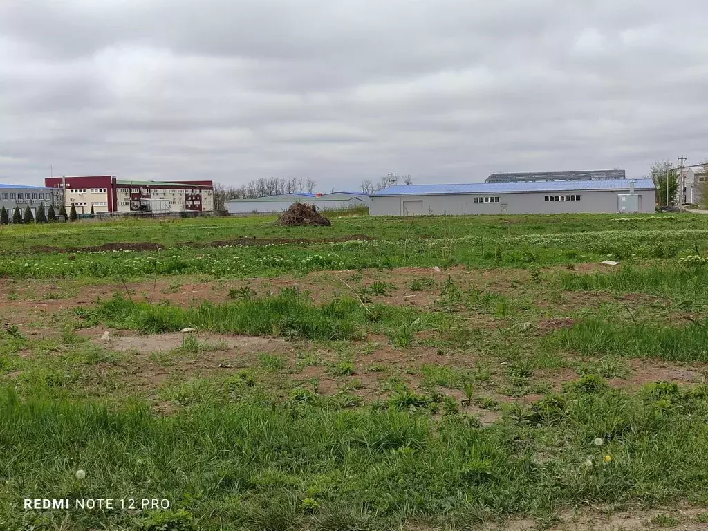 Склад в Ростовская область, Ростов-на-Дону км 60К-9 1-й, 10/1 (1500 м) - Фото 0