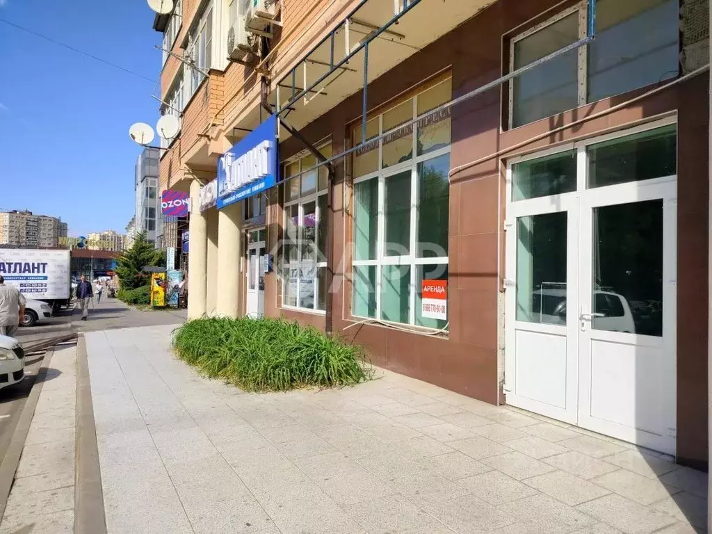 Помещение свободного назначения в Краснодарский край, Анапа ул. ... - Фото 1