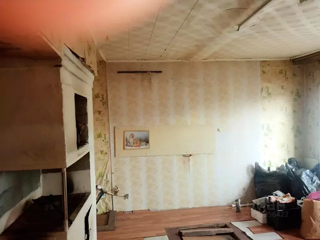 Дом в Омская область, Омск СибНИИСХоз мкр,  (55 м) - Фото 2