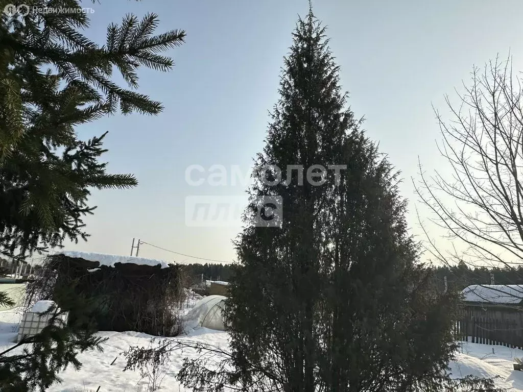 Участок в Королёв, улица Пограничников, 95 (6.2 м) - Фото 2