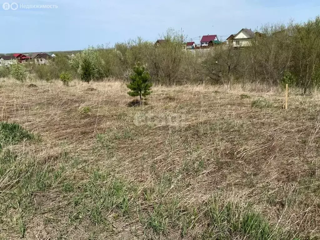 Участок в Белокуриха, Грибная улица (9.15 м) - Фото 0