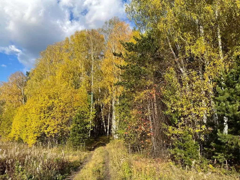 Участок в Свердловская область, Полевской городской округ, пос. ... - Фото 0