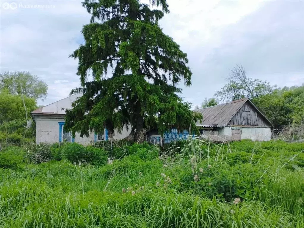 Участок в село Огородниково, Конезаводская улица, 50 (33 м) - Фото 0