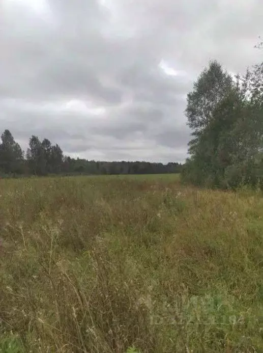 Участок в Московская область, Коломна городской округ, д. Новая  (20.0 ... - Фото 0