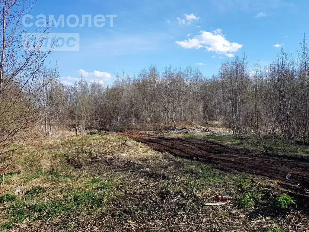 Участок 10 сот. (ИЖС) - Фото 0