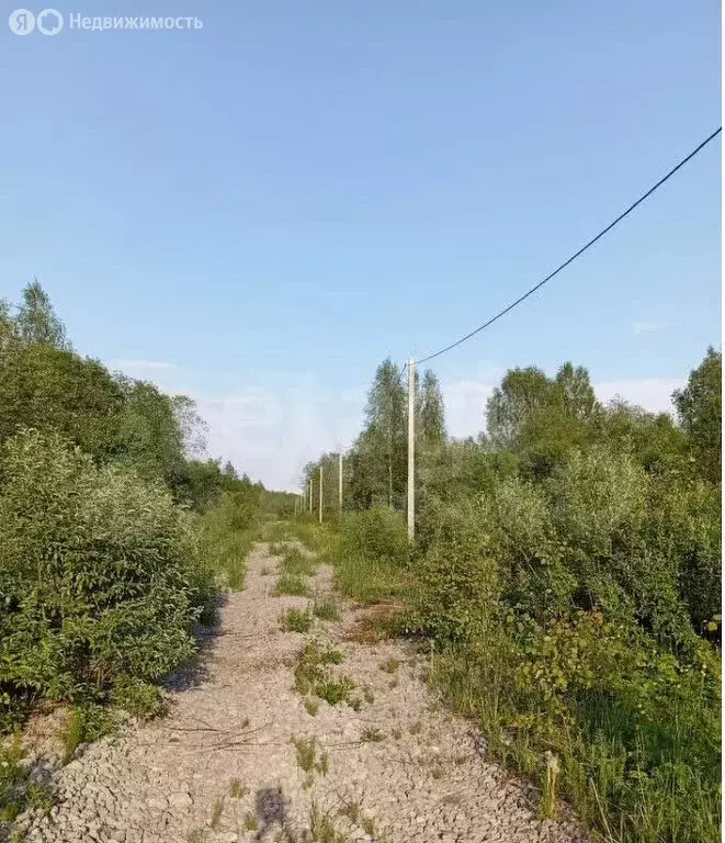 Участок в Вологодская область, Череповецкий муниципальный округ, ... - Фото 2