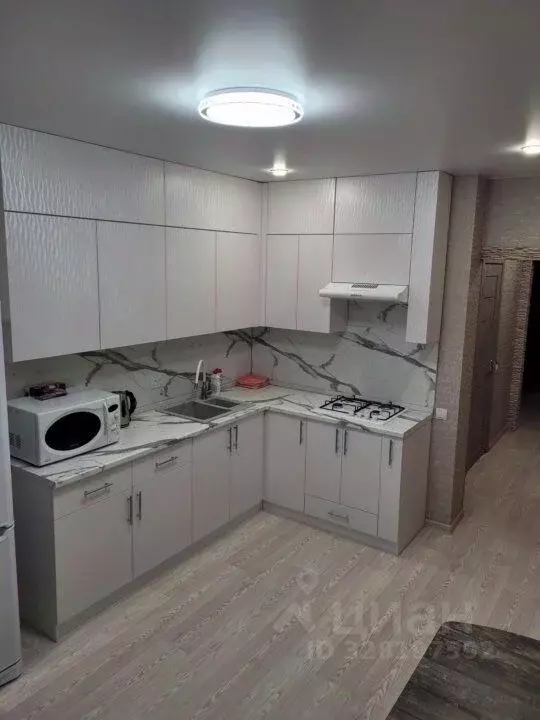 1-к кв. Пензенская область, Пензенский район, Засечный сельсовет, с. ... - Фото 2