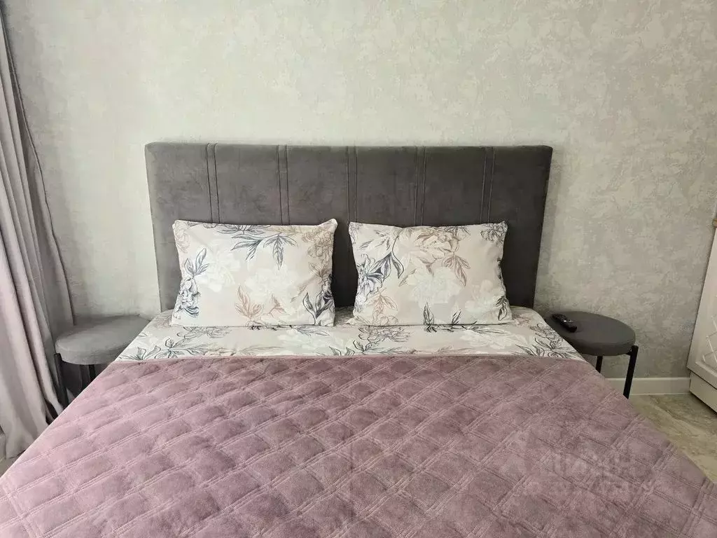 Студия Краснодарский край, Сочи ул. Ленина, 290/7к6 (20.0 м) - Фото 2