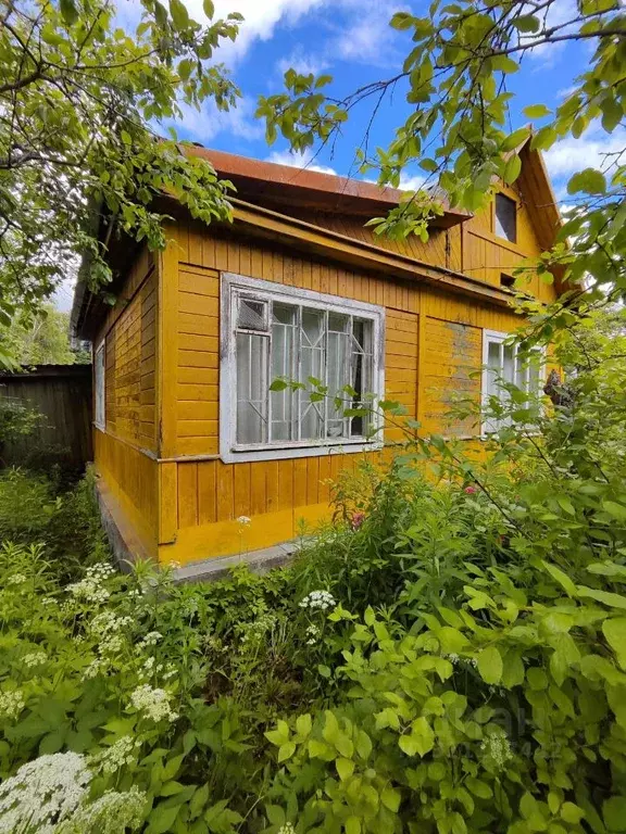 Дом в Псковская область, Псковский муниципальный округ, Юбилейное ... - Фото 1