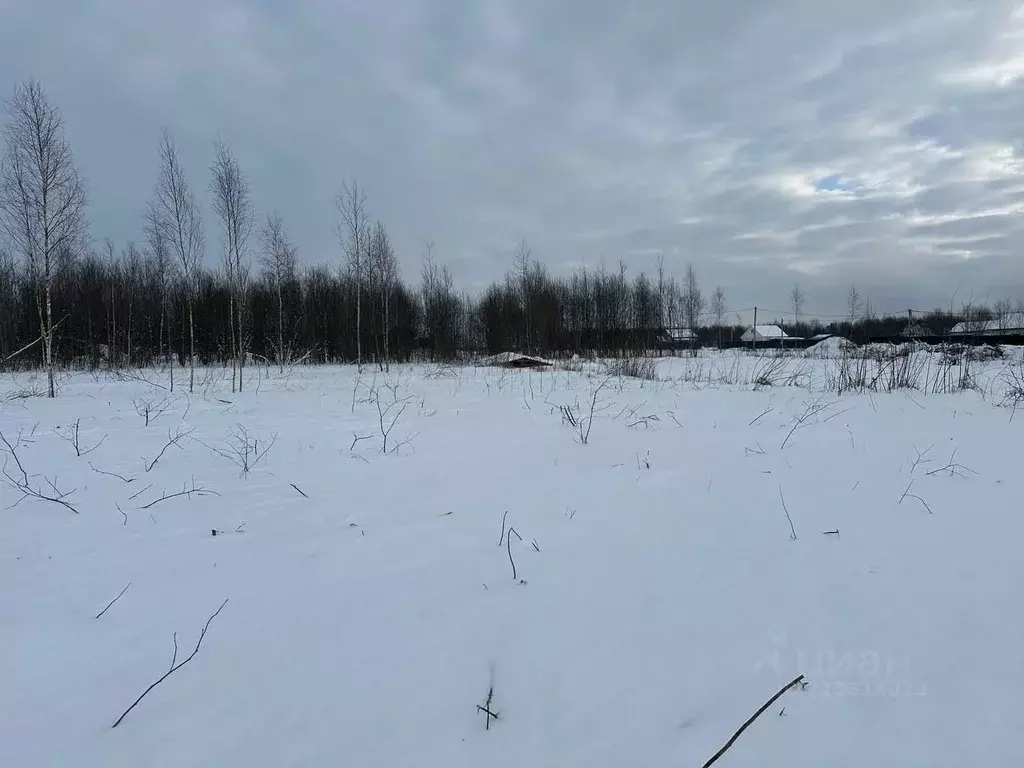 Участок в Московская область, Волоколамский муниципальный округ, ... - Фото 2