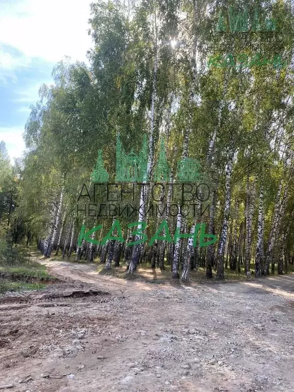 Дача 60,3 м на участке 12 сот. - Фото 1