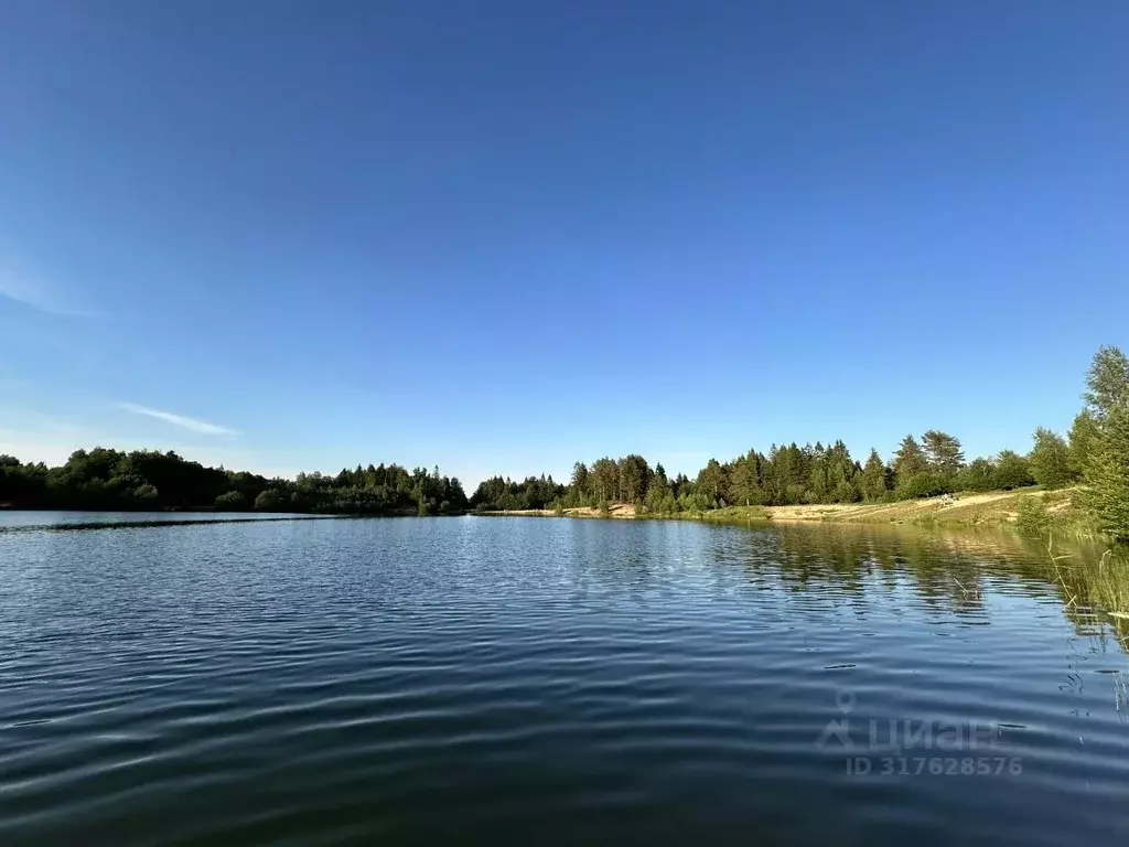 Участок в Ленинградская область, Всеволожский район, Романовское ... - Фото 1