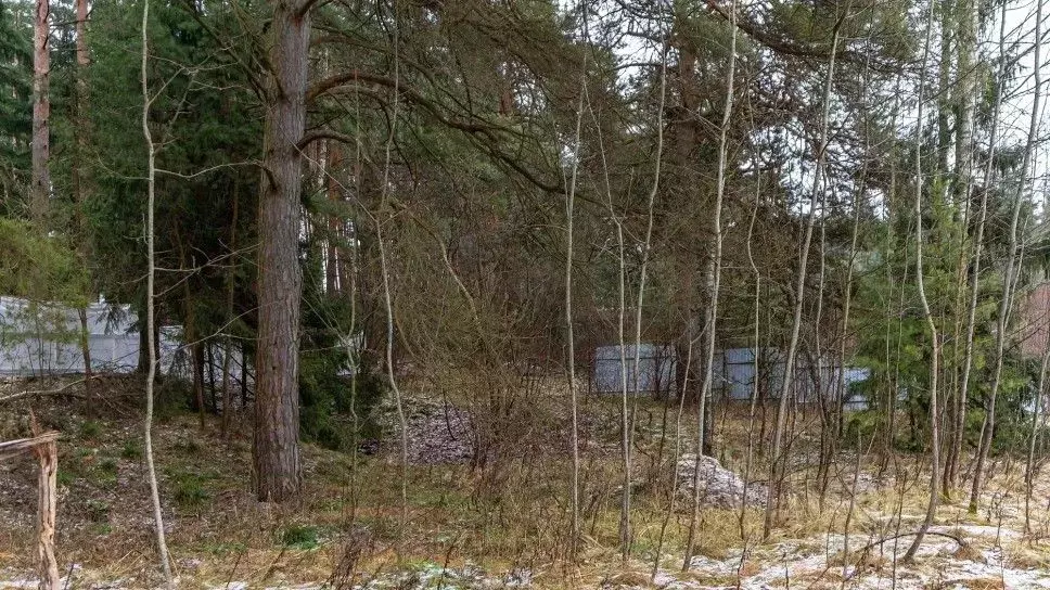 Участок в Московская область, Одинцовский городской округ, с. ... - Фото 1