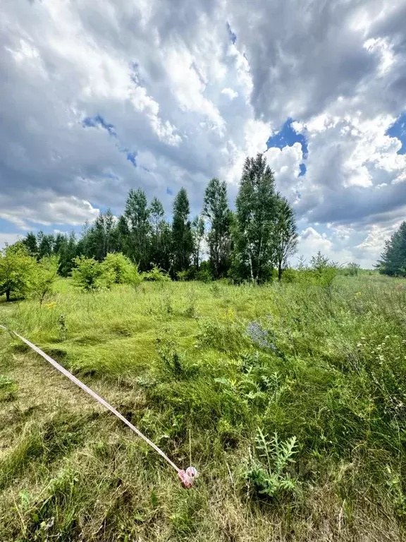 Участок в Самарская область, Кинель ул. Локаторная, 33 (10.0 сот.) - Фото 0