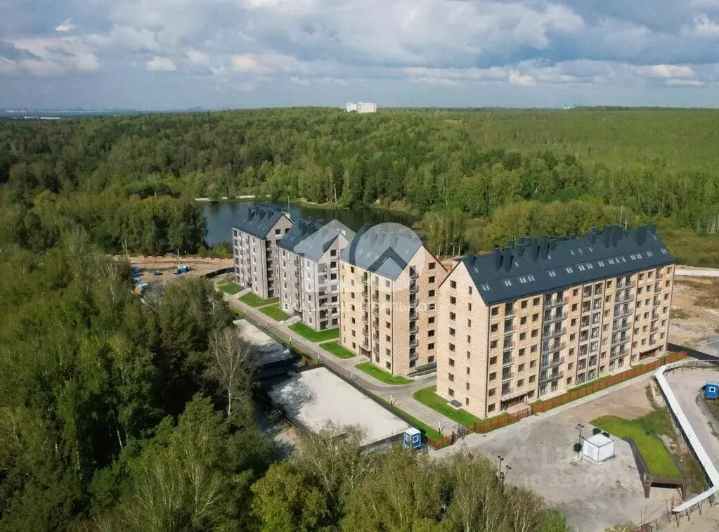 Студия Новосибирская область, Новосибирский район, Барышевский ... - Фото 1