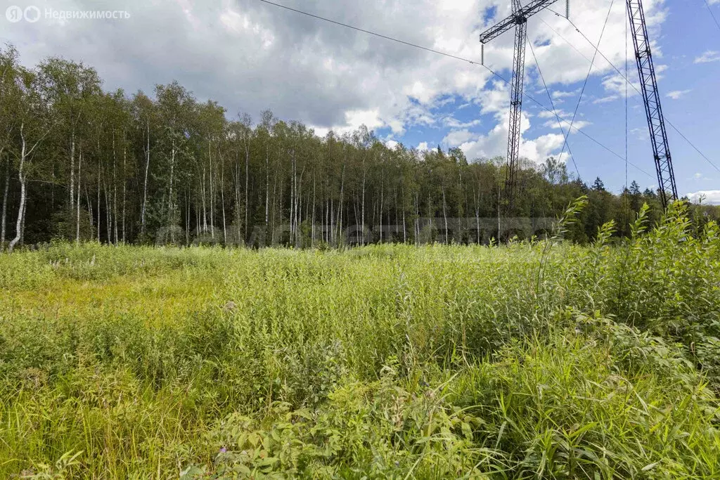 Участок в Наро-Фоминский городской округ, садовое товарищество ... - Фото 1
