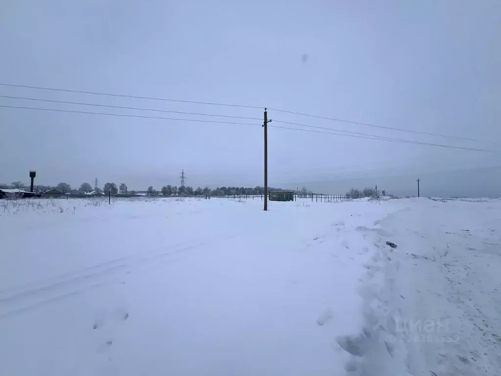 Участок в Московская область, Кашира городской округ, д. Аладьино пер. ... - Фото 2