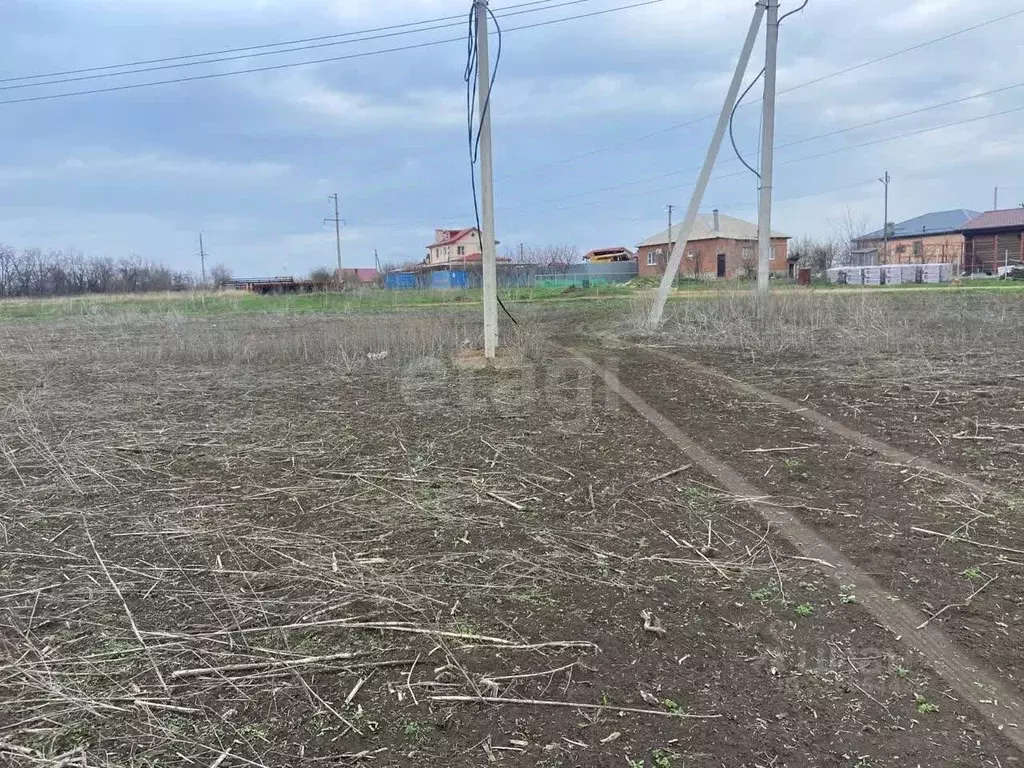 Участок в Ростовская область, Мясниковский район, с. Большие Салы ул. ... - Фото 2