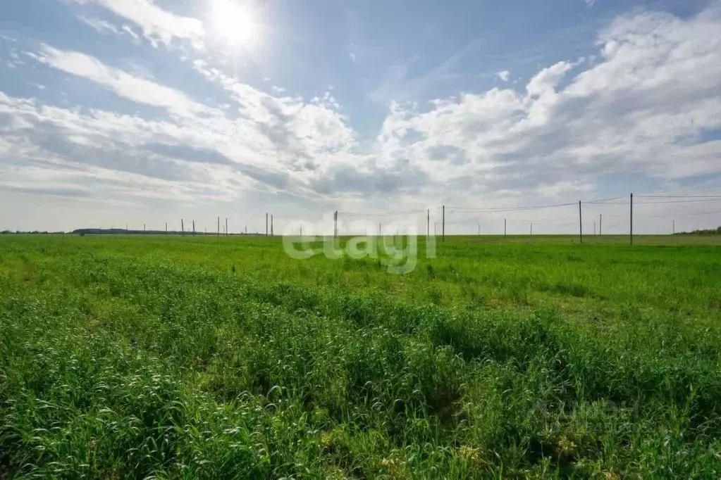 Участок в Татарстан, Тукаевский район, с. Калмия  (8.0 сот.) - Фото 2