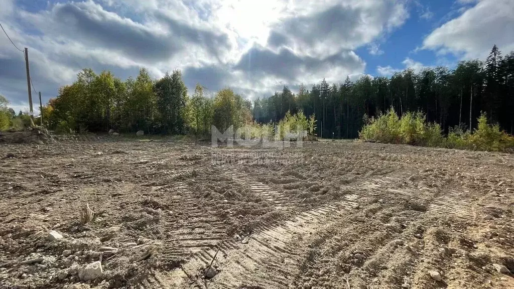 Участок в Карелия, Петрозаводск ул. Академика Арсеньева (10.0 сот.) - Фото 0