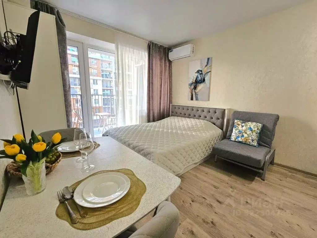 1-к кв. Краснодарский край, Сочи городской округ, Дагомыс пгт ул. ... - Фото 1