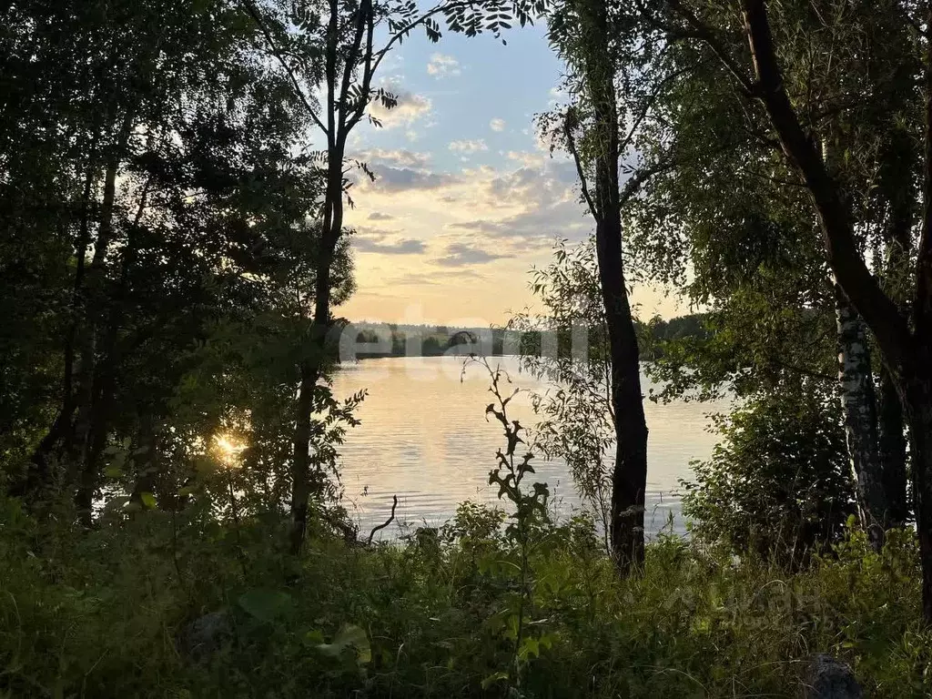 Участок в Тульская область, Дубенский район, Протасовское ... - Фото 1