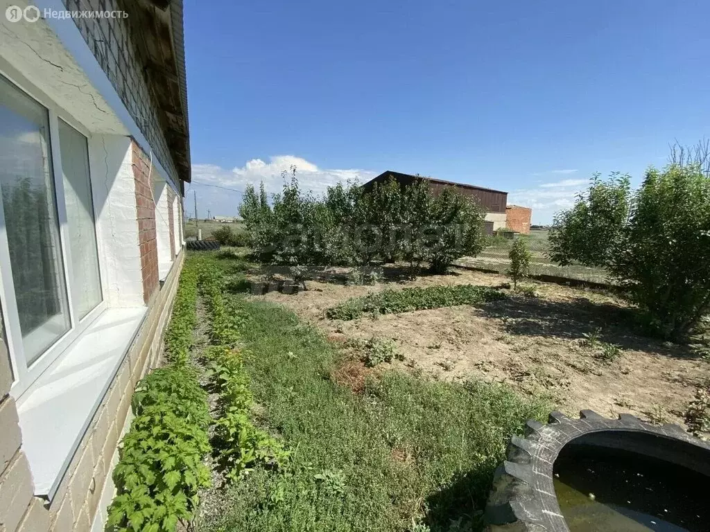 Дом в Домбаровский район, Полевой сельсовет, село Соколовка, Северная ... - Фото 2