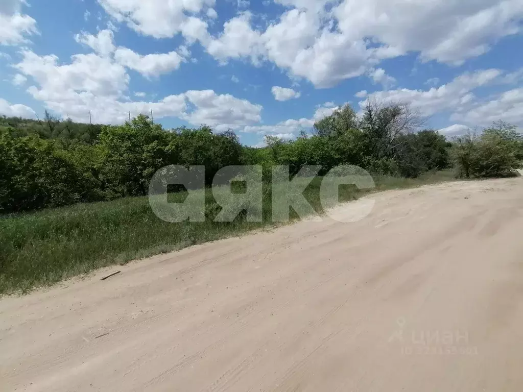 Участок в Волгоградская область, Городищенский район, Царицынское ... - Фото 1