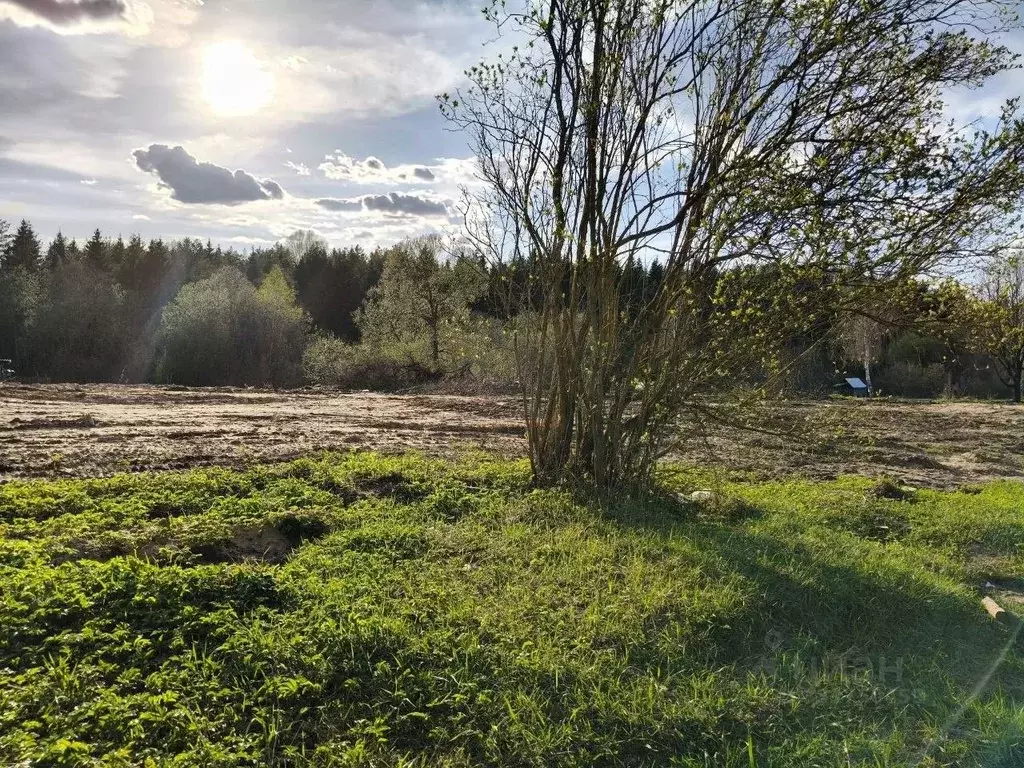 Участок в Московская область, Талдомский городской округ, Вербилки пгт ... - Фото 1