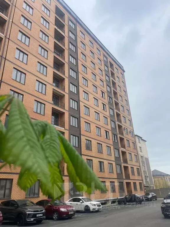 3-к кв. Дагестан, Махачкала ул. Лизы Чайкиной, 69 (85.0 м) - Фото 2