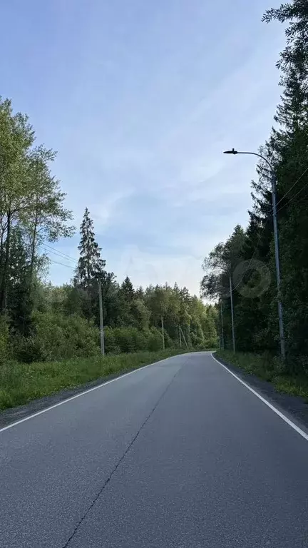 Участок 6,4 сот. (ИЖС) - Фото 1
