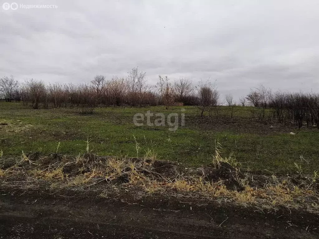 Участок в Ставрополь, садовое товарищество Северное-2 (6.2 м) - Фото 1