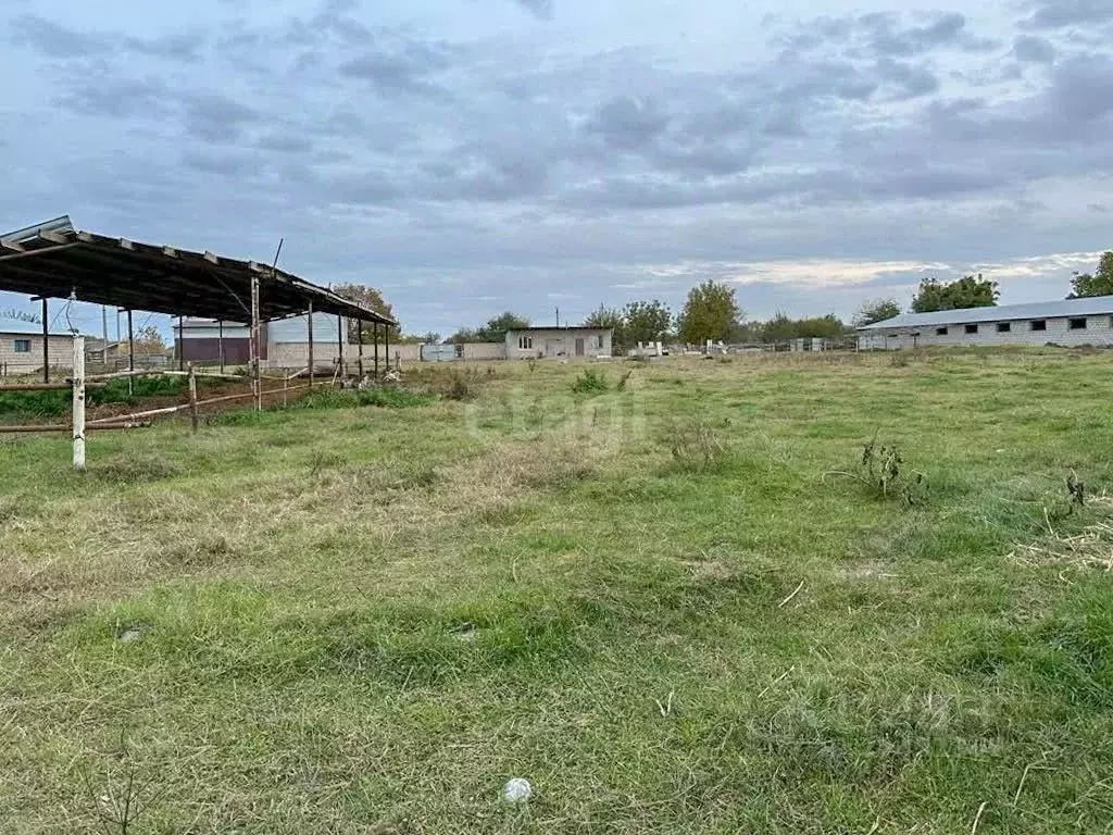 Помещение свободного назначения в Кабардино-Балкария, Урванский район, ... - Фото 0