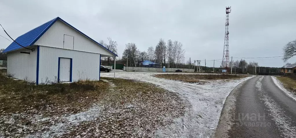 Участок в Московская область, Луховицы муниципальный округ, Белоомут ... - Фото 2