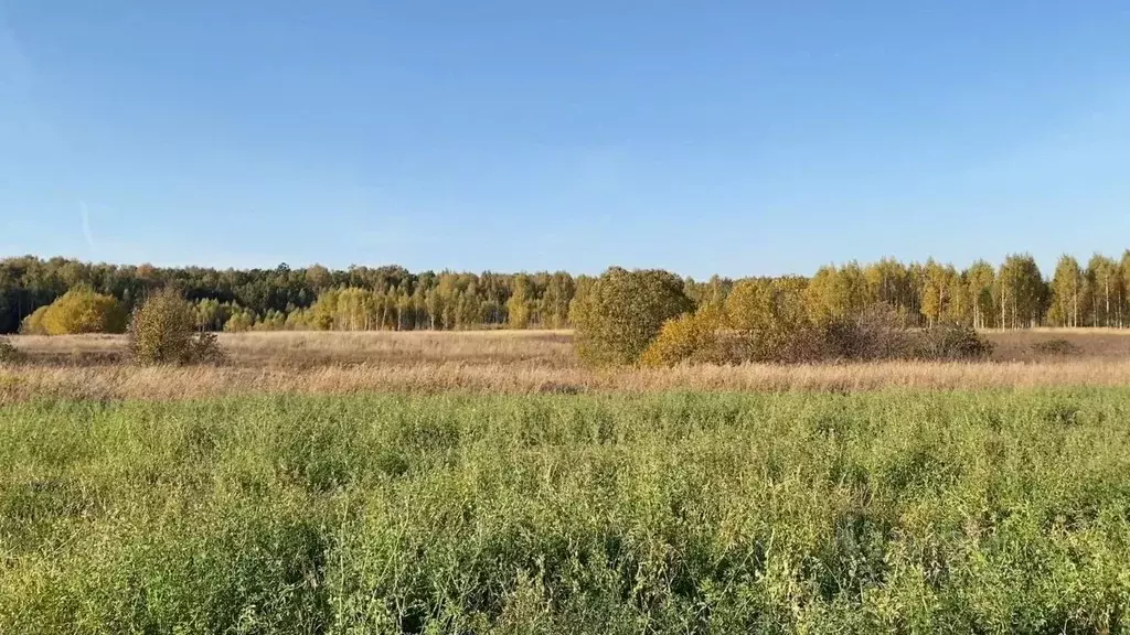 Участок в Московская область, Кашира городской округ, д. Никулино  ... - Фото 0