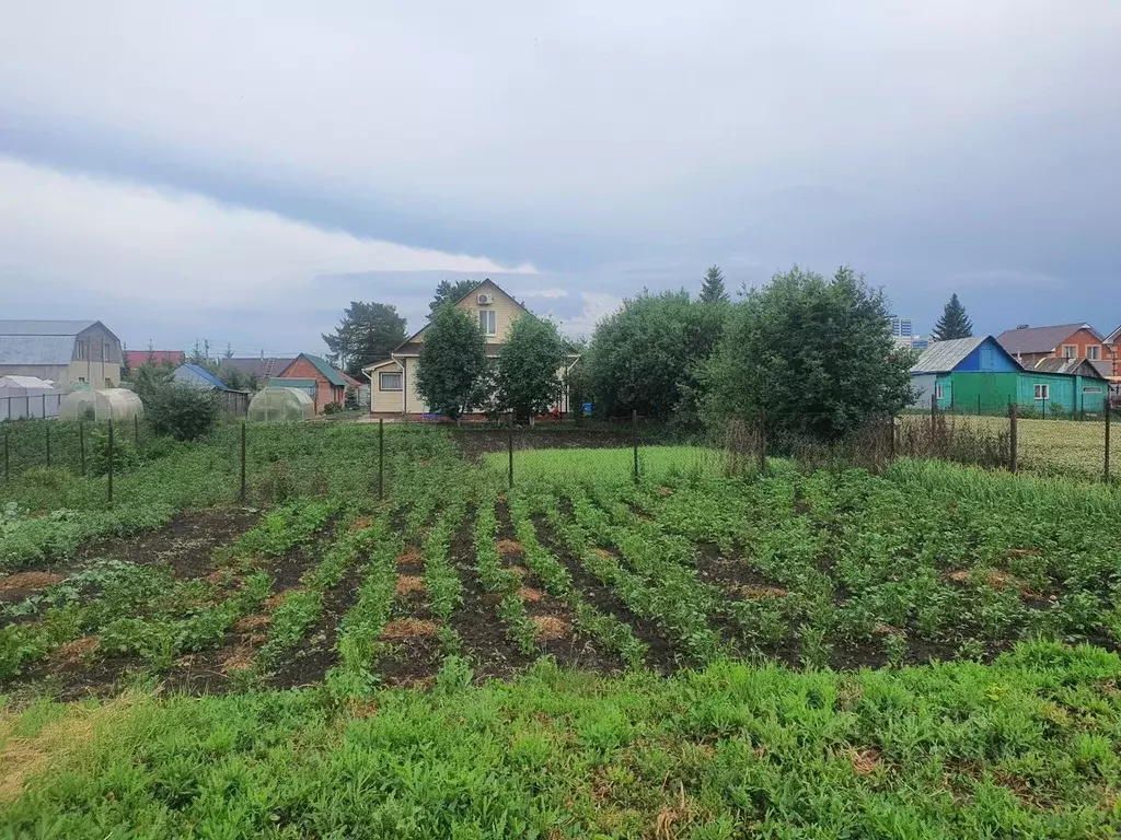 Участок в Башкортостан, Уфимский район, с. Михайловка Октябрьский ... - Фото 1